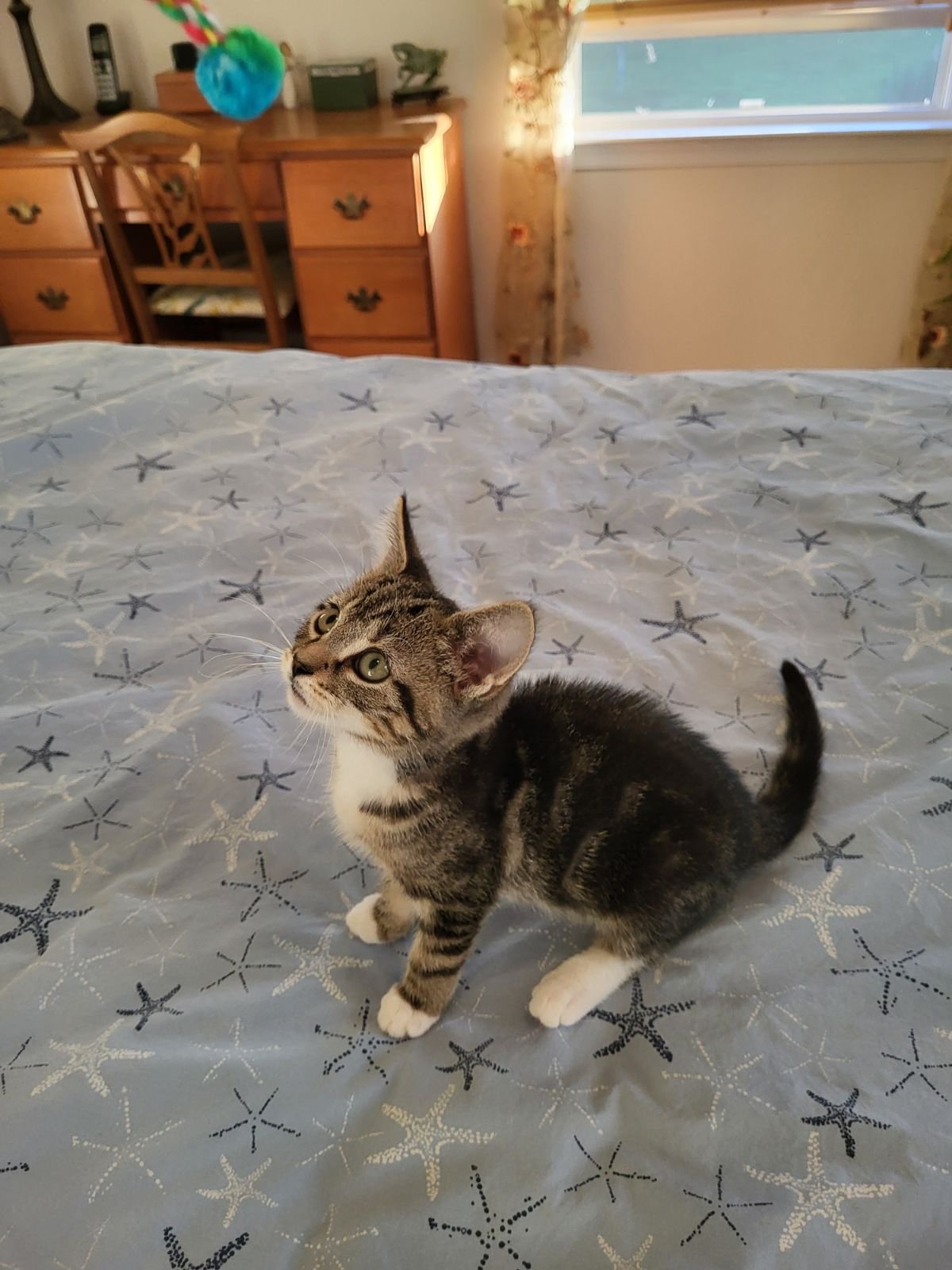 Priscilla looking curious!