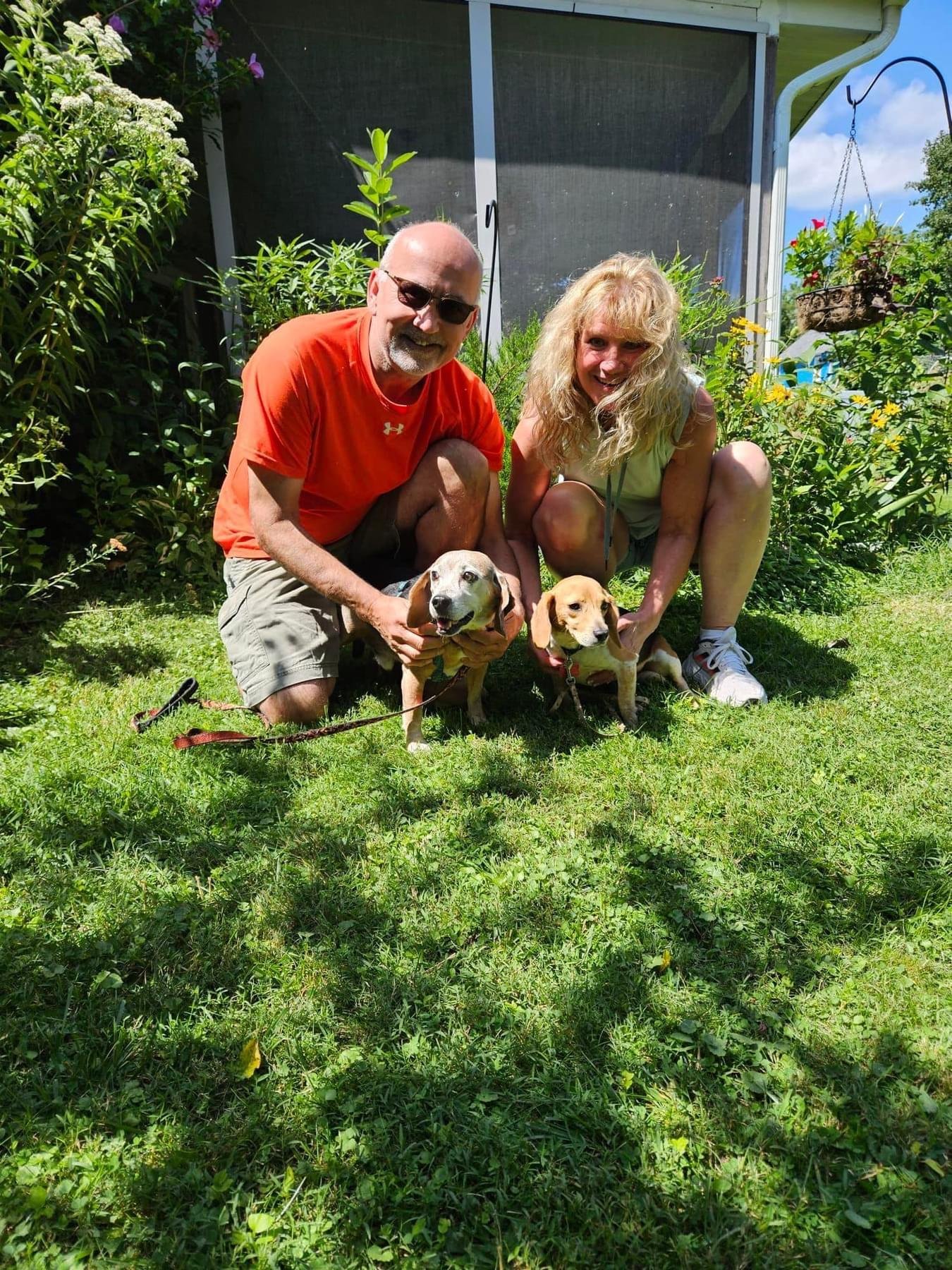 Shy little Annie with her new parents and Beagle buddy helping her with her confidence! ( June 2023)