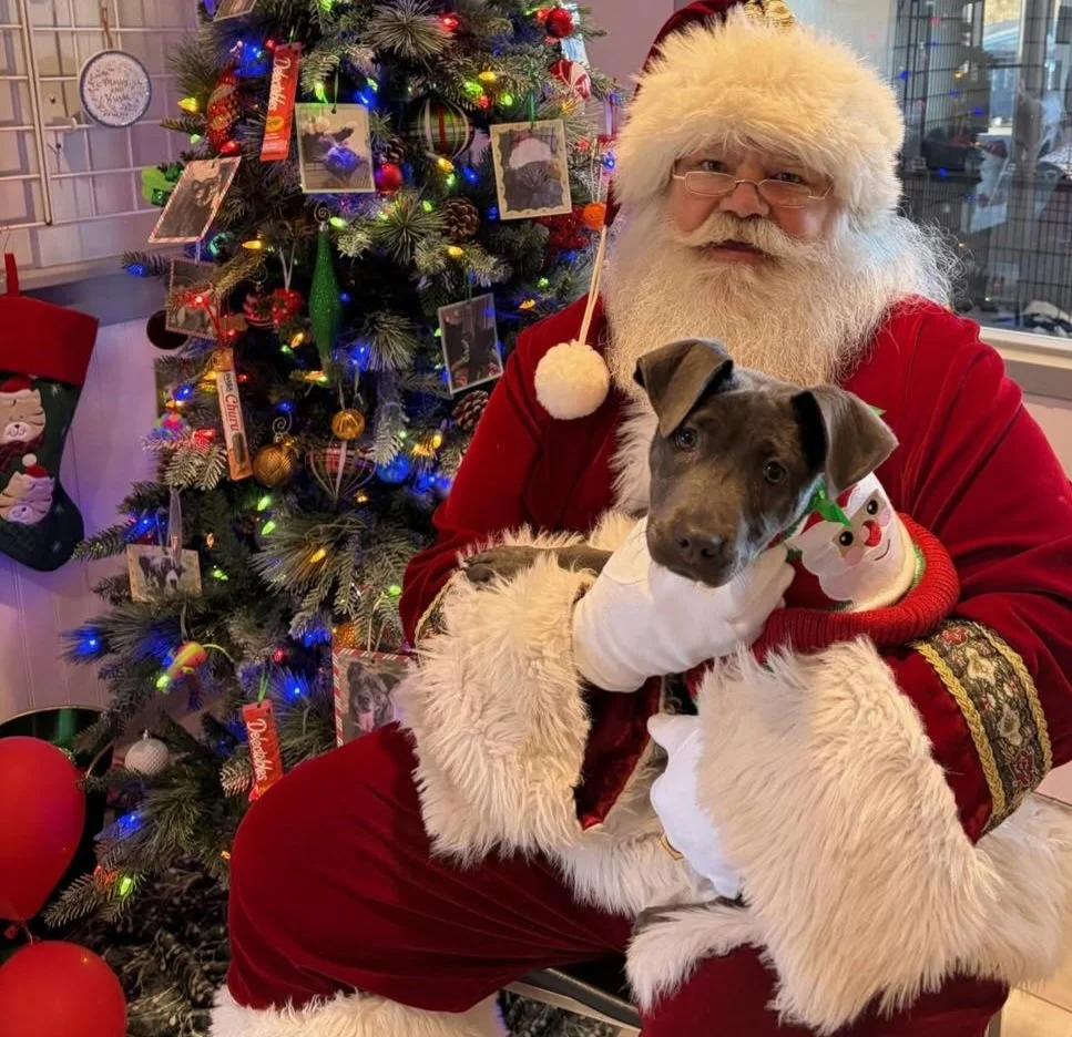 Peppermint Patty telling Santa she wants lots of puppy toys 
