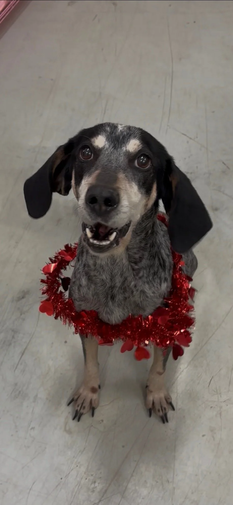 Brie was a clown with all her silly expressions.