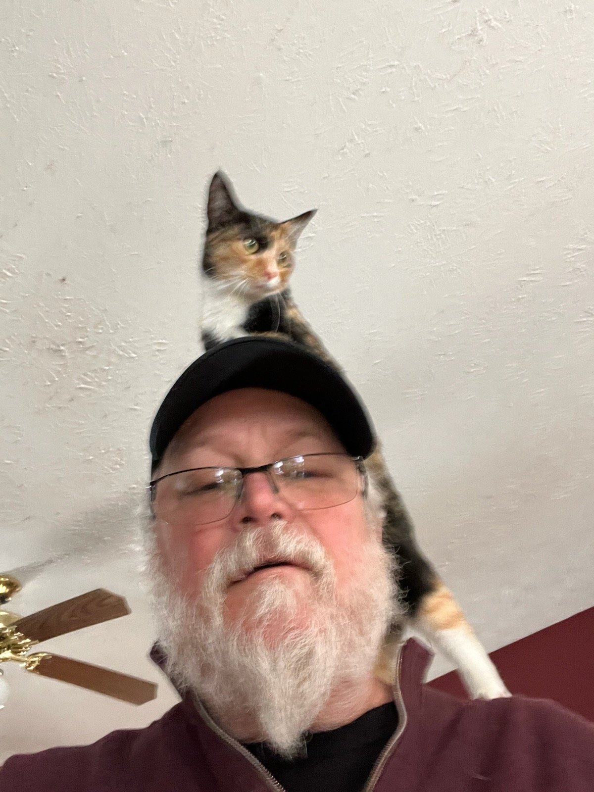 Chani is also growing up, and loves to ride on her daddy's shoulders.