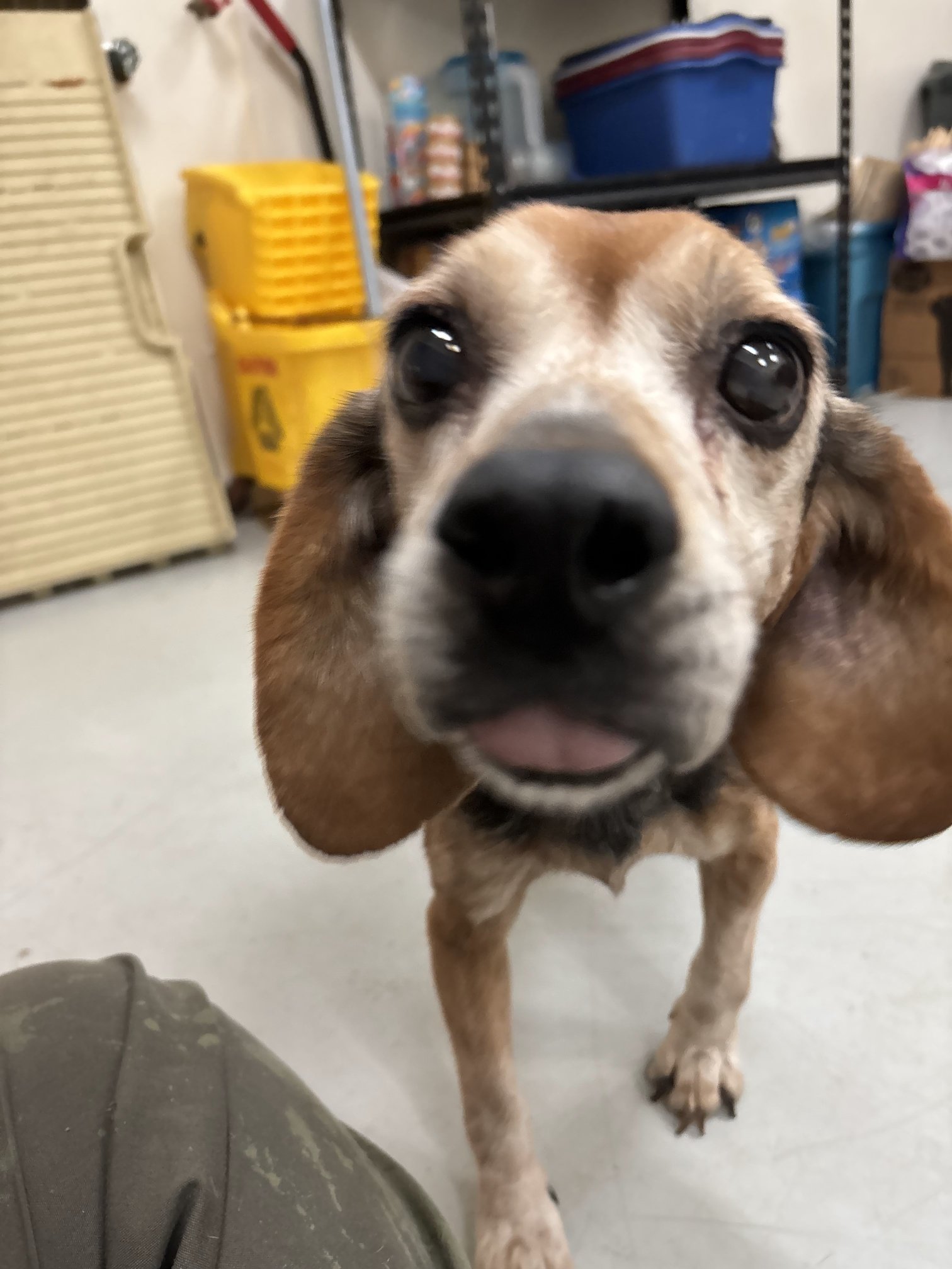 Pete - cute beyond words!