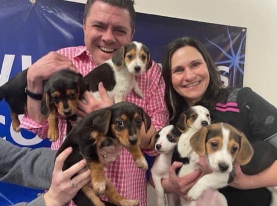 Pepper Pott's 6 puppies were featured on a local radio station in NJ! This was their Facebook post.