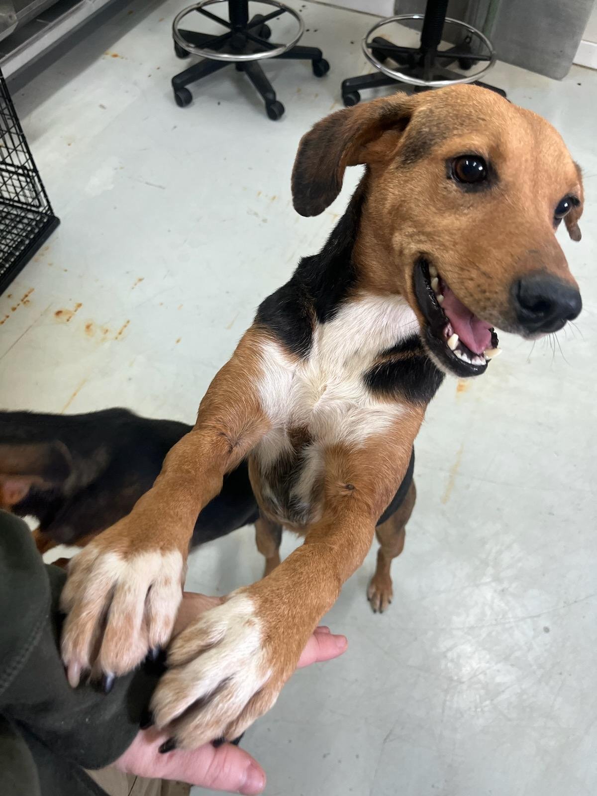 Pixie is super sweet!