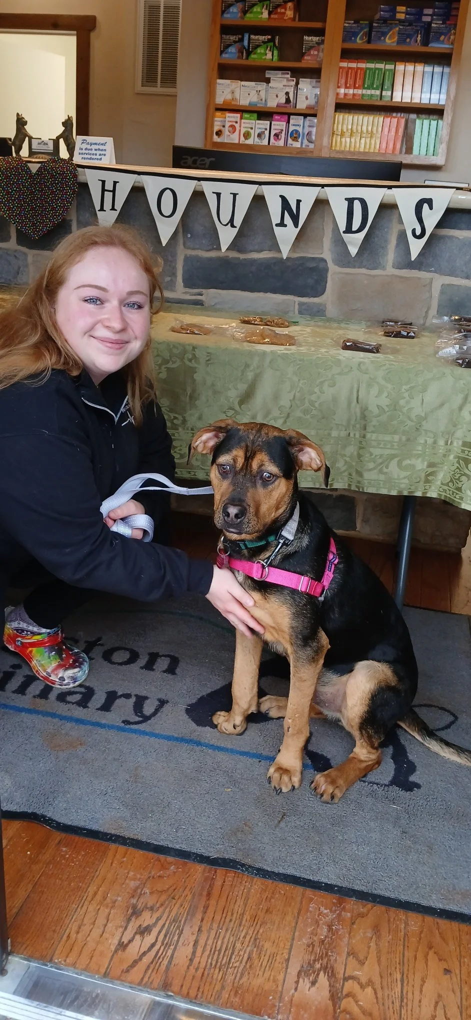 Hugo (rescued August 2025) has grown into such a handsome boy.  He visited the bake sale with his mom, then went outside to shop the dog toy box.