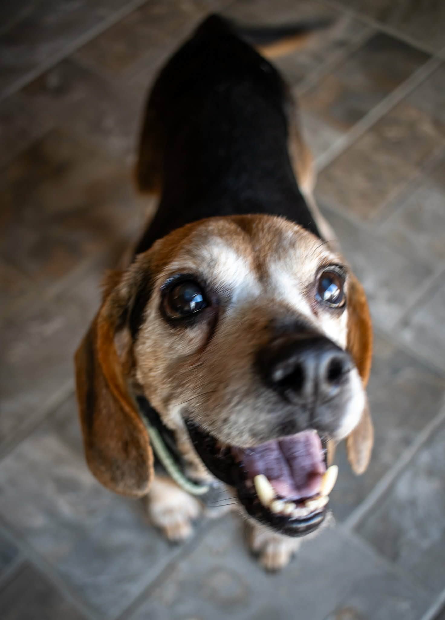 Pete showing off is million dollar smile!!!