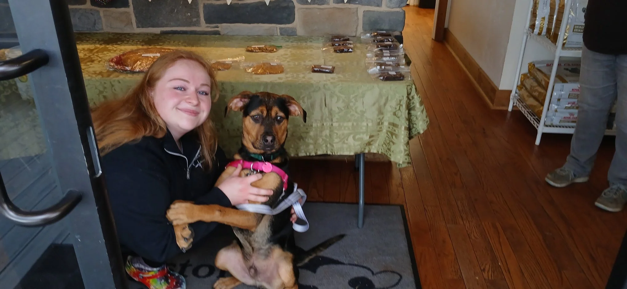 Hugo enjoying the day!