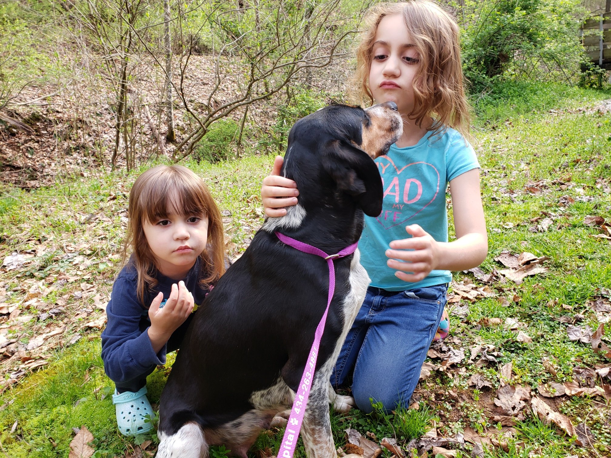 Cricket (with Maggie and Charlotte)