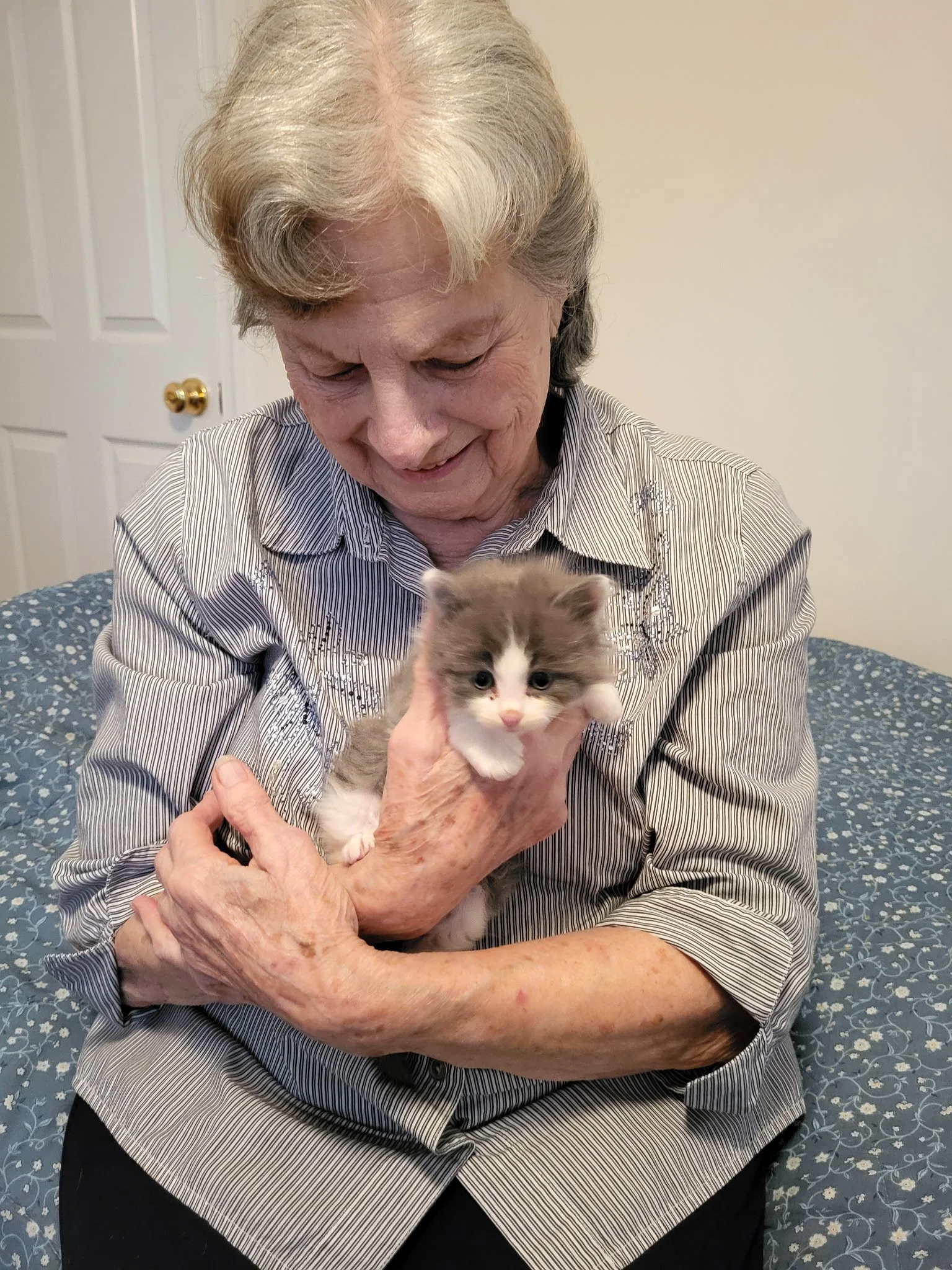 Bonnie's father had just passed away, so little Grey Poupon served as a grief counselor to her mother. What a tiny little angel 😇 