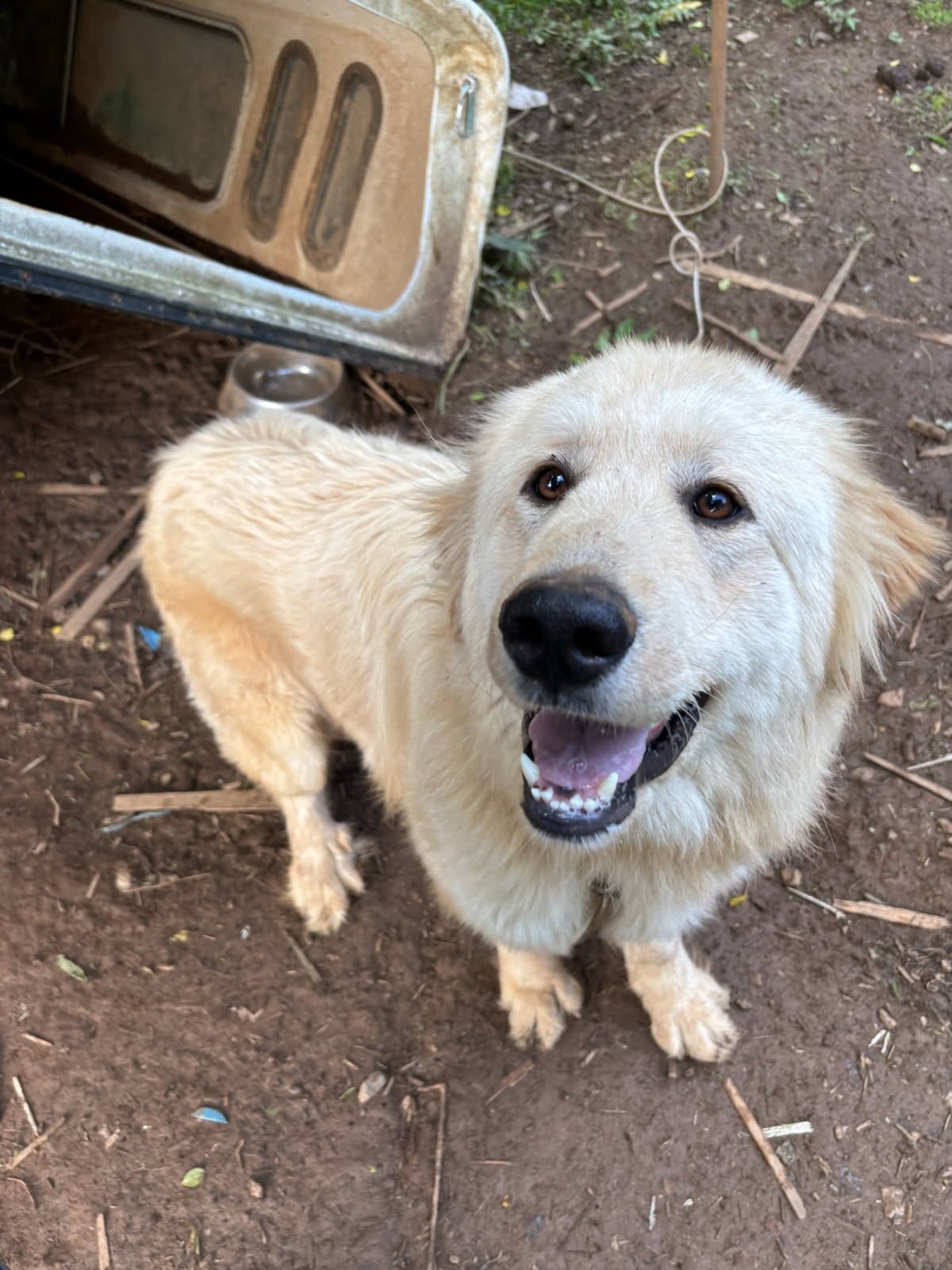 Butch showing his beautiful smile!