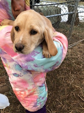 Bonnie