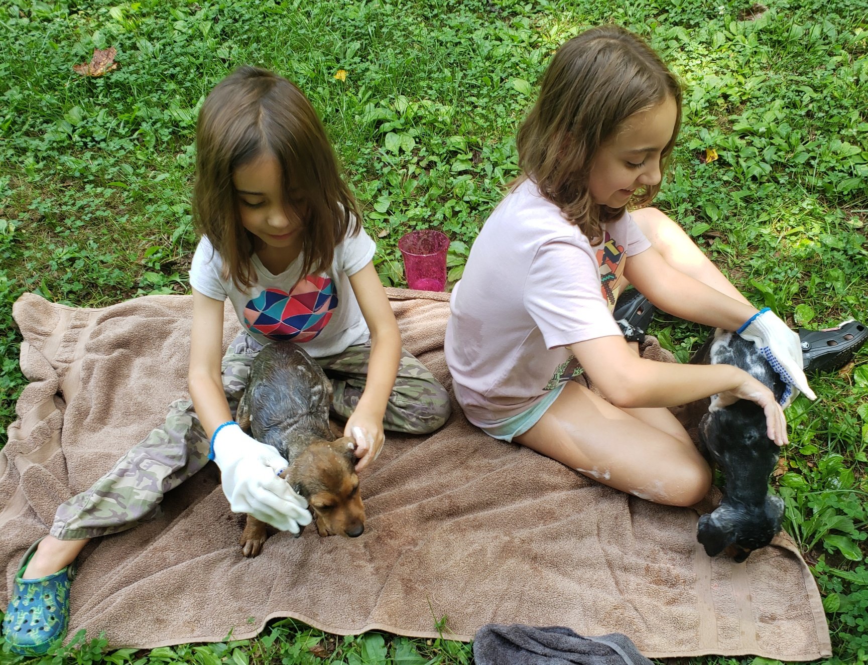 Midge and Miranda were covered with fleas, flea bites and tiny ticks. They needed a medicated bath, done by Maggie and Charlotte!