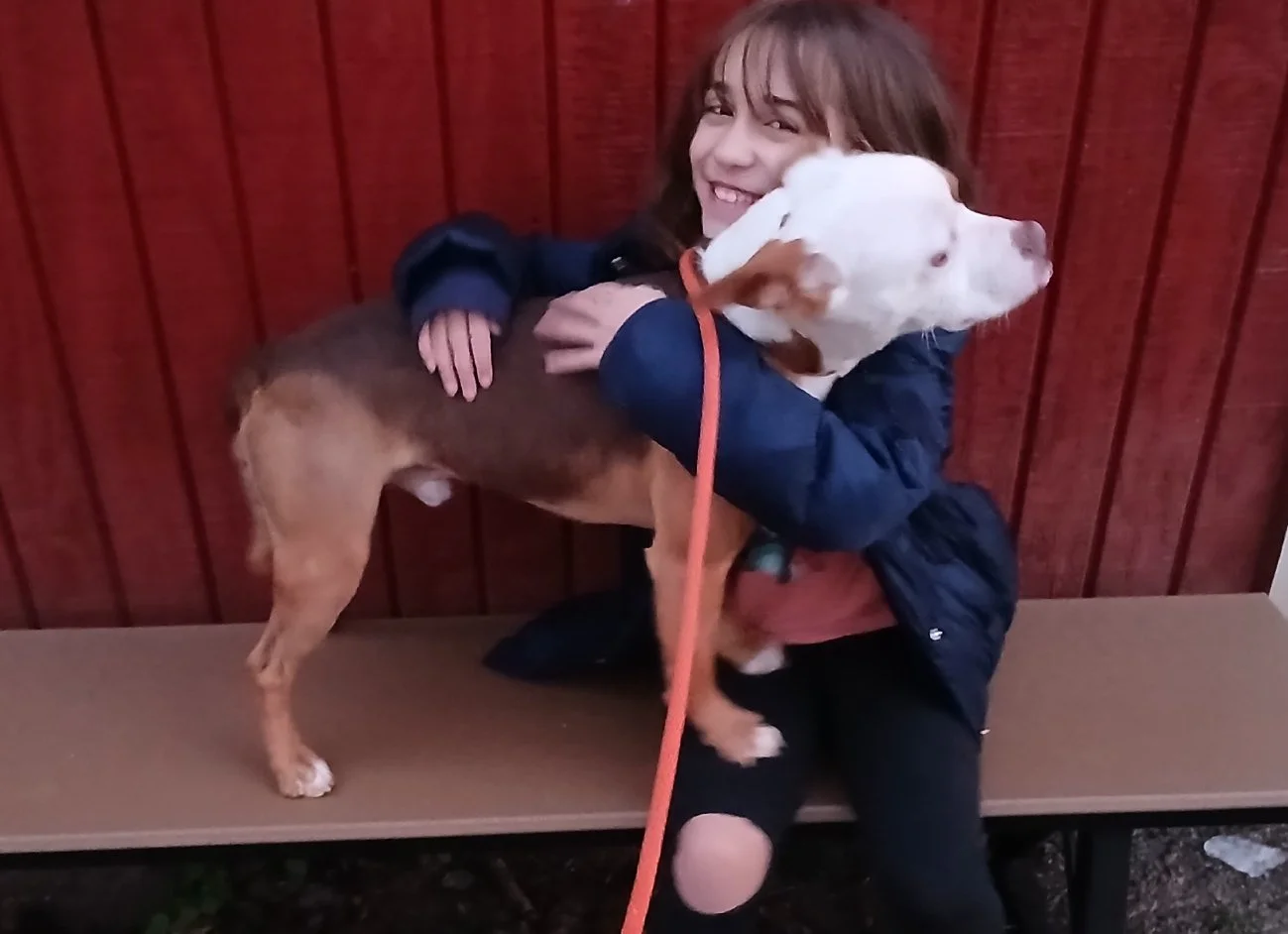 Since Animal Control can be stressful with the barking and new dogs coming and going,  Fonda took him home and fostered him since last August.  Maggie, her grand-daughter, enjoyed loving on him! 