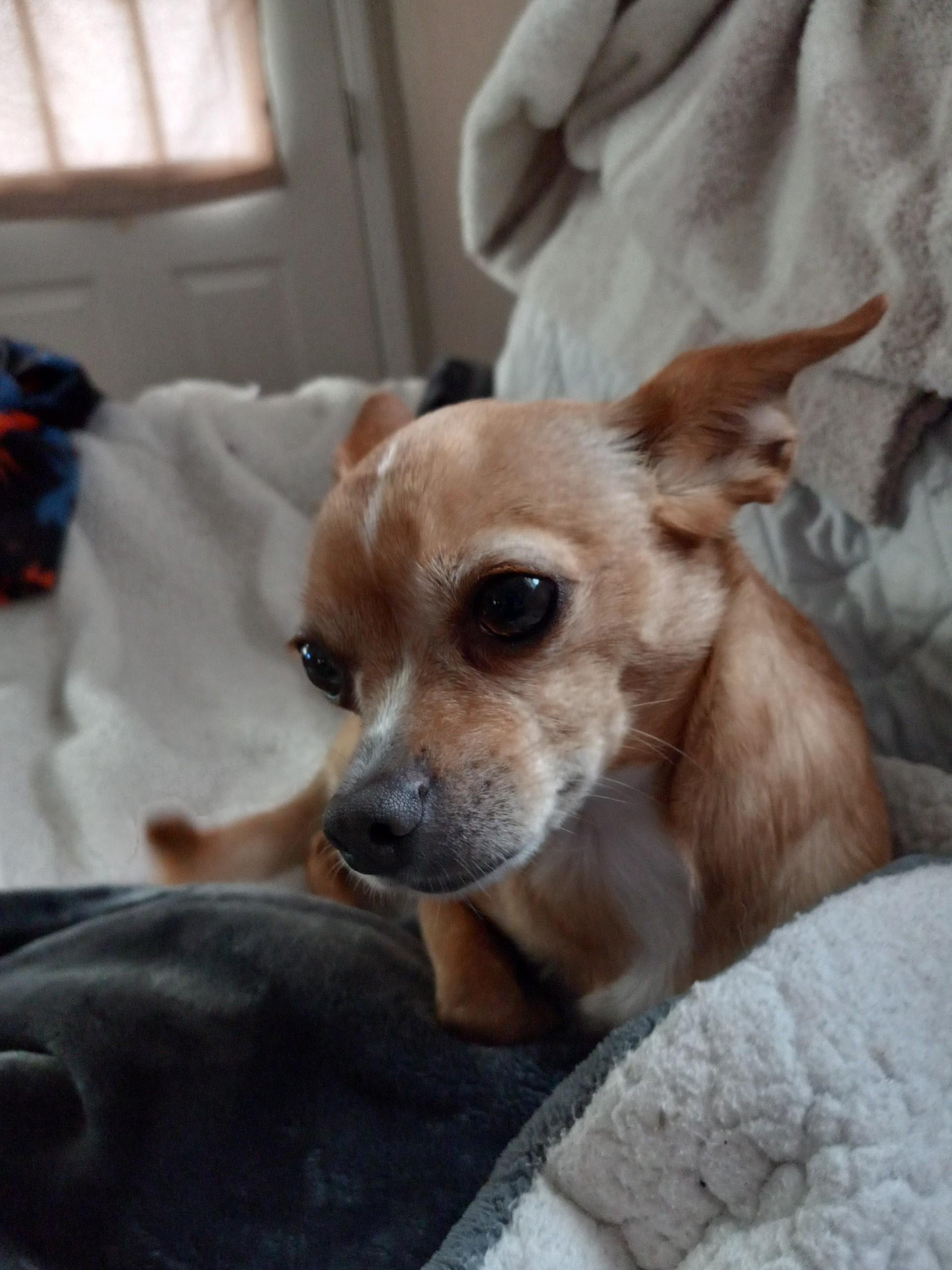 Tootie looking as cute as ever!
