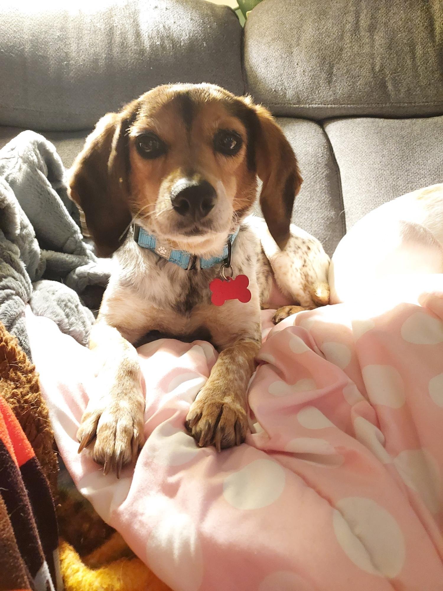 Nadia is very, very happy she was adopted!
