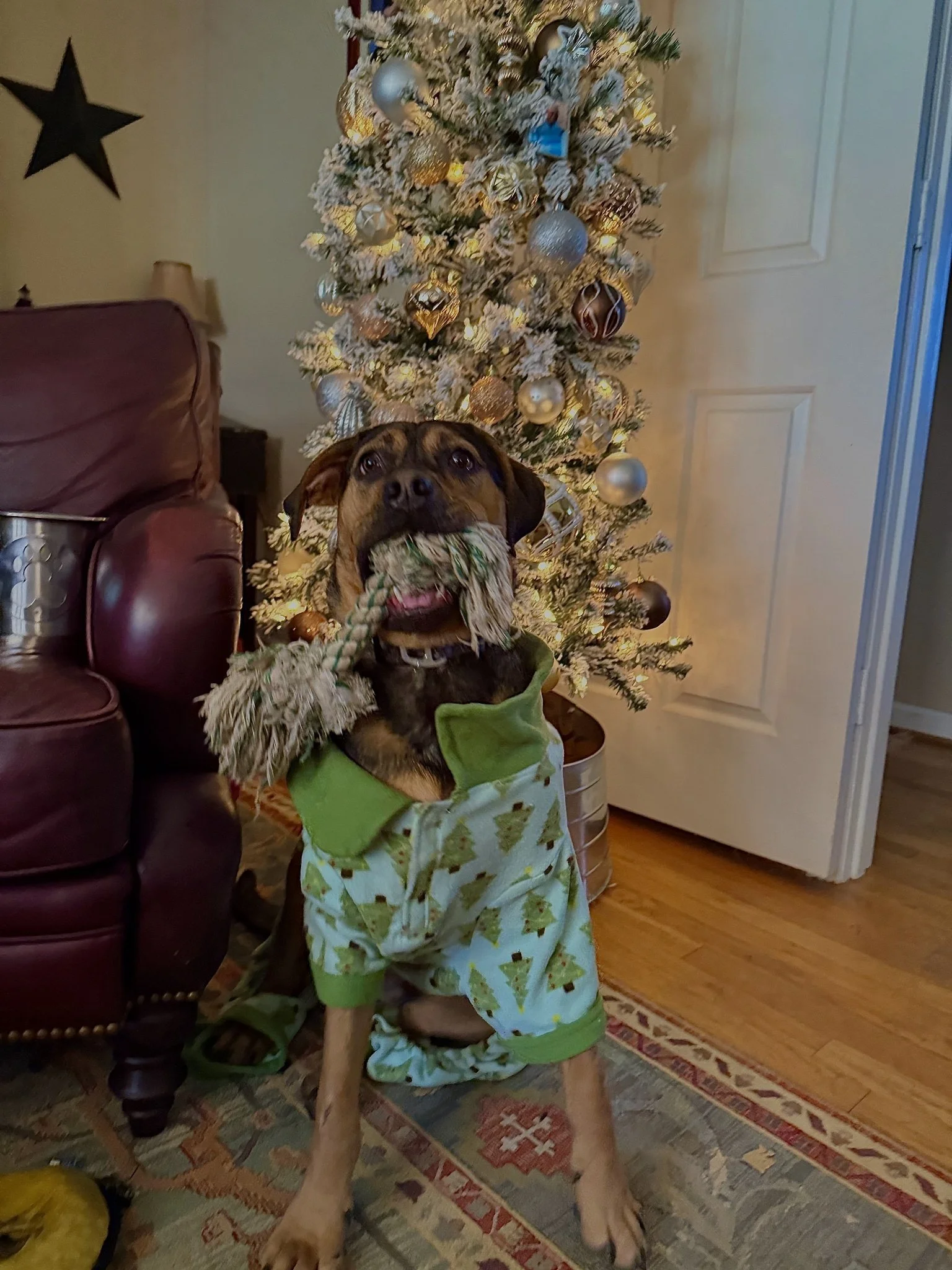 Hugo - also modeling his HH yard sale pajamas :)