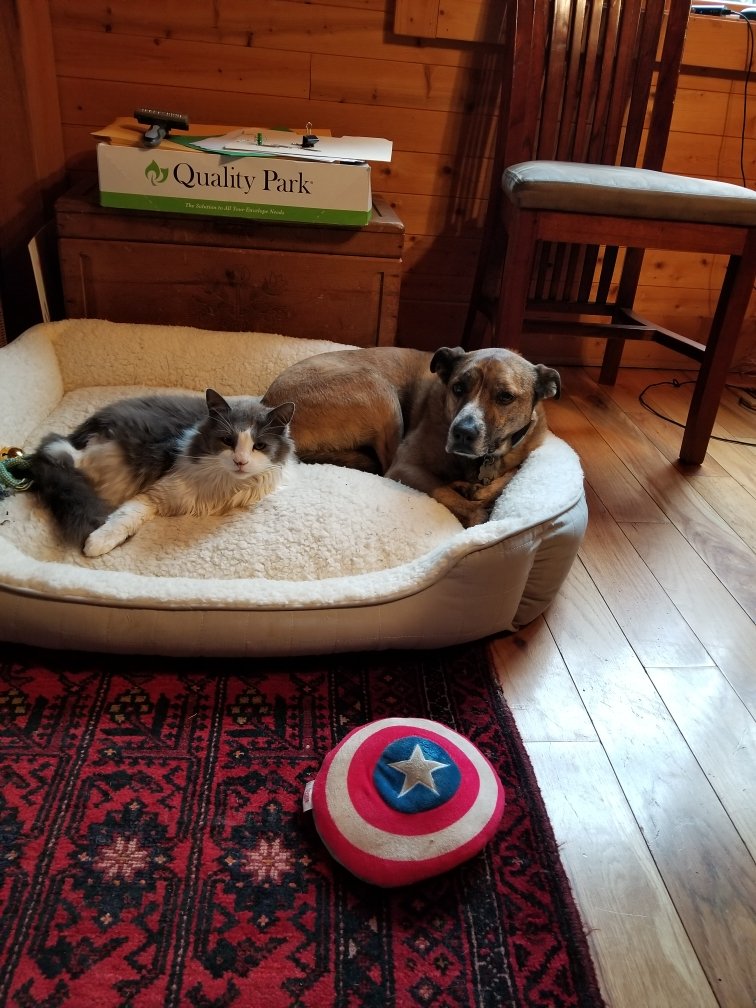 Jade sharing her bed with her kitty pal!