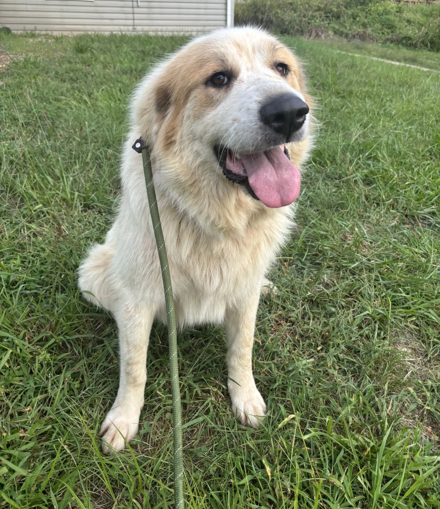 Doralee - named in memory of Dolly Parton.  Doralee was the name of her character in the movie 9 - 5.  