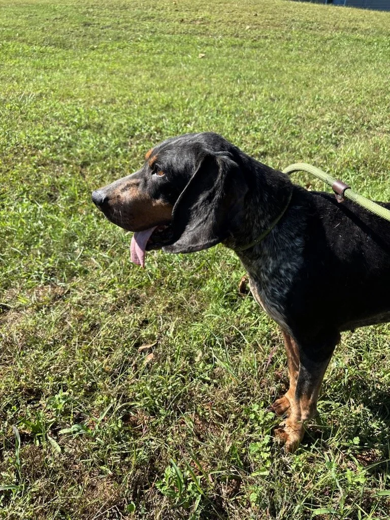 Sadie Mae looking good! 