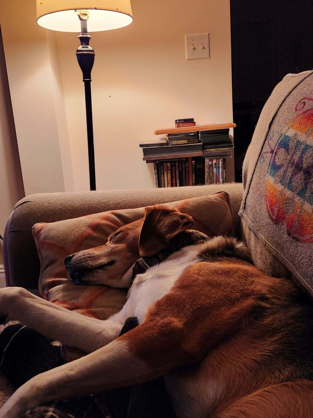 Randy lounging!