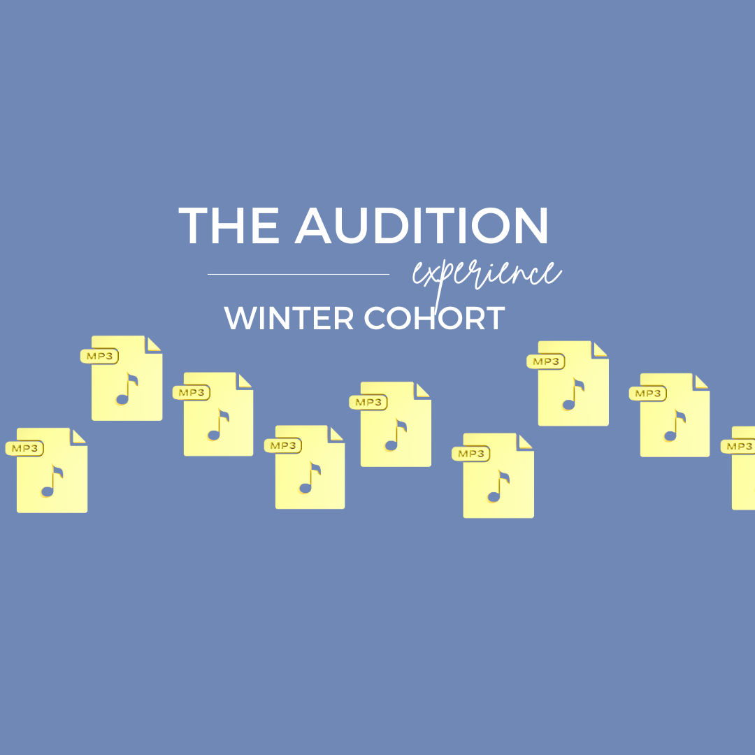 AUDITION EXPERIENCE (3) copy.png