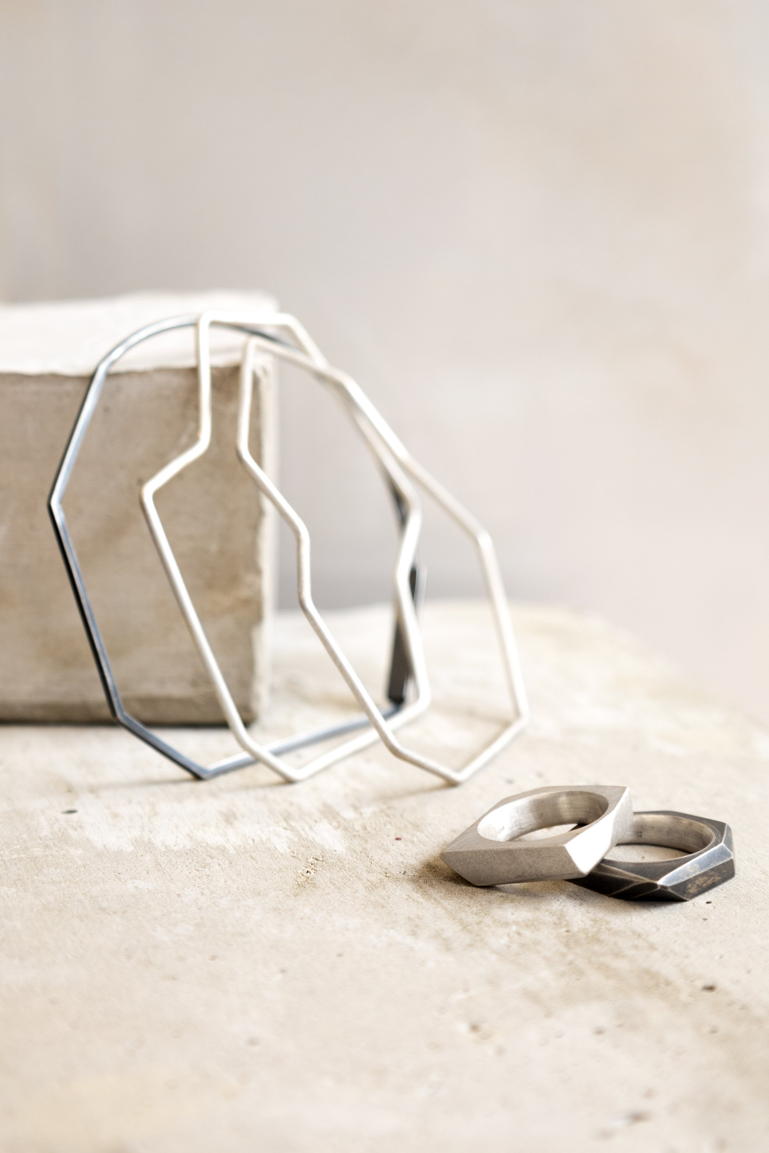 Silver and Steel x Robyn Frances_-5 copy.jpg