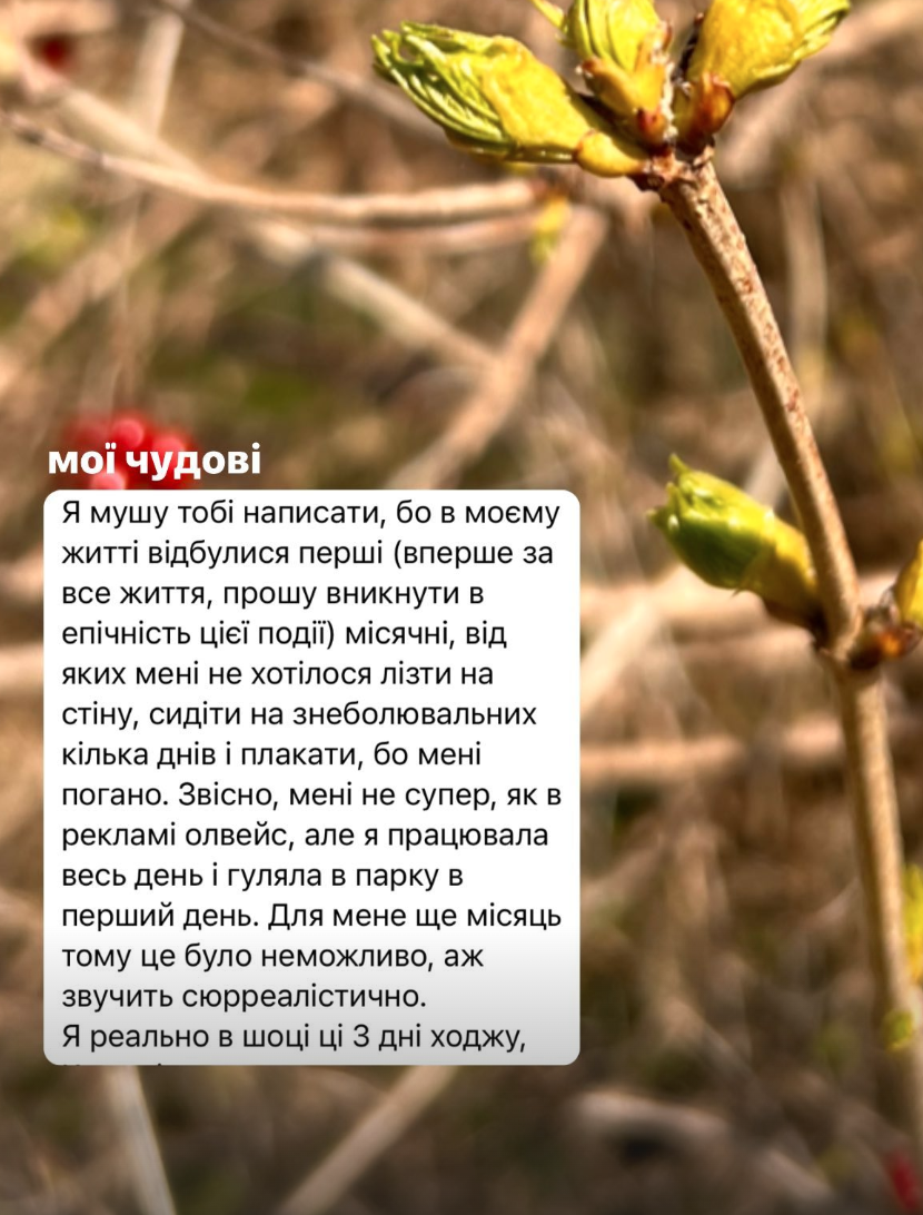 Screenshot 2024-11-06 at 16.46.58.png