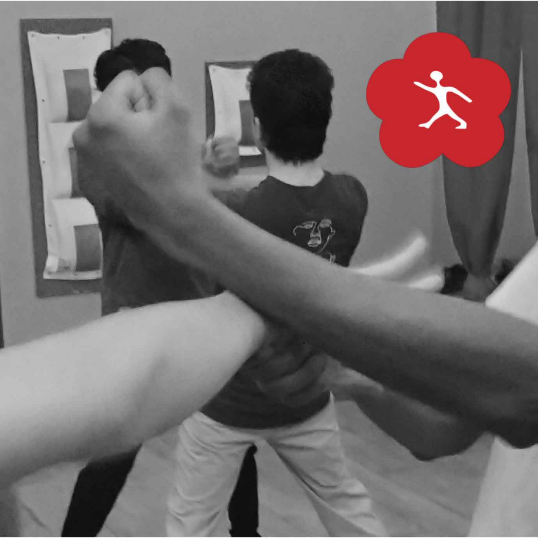 Brooklyn Seminar with Grandmaster Moy Tung registration image