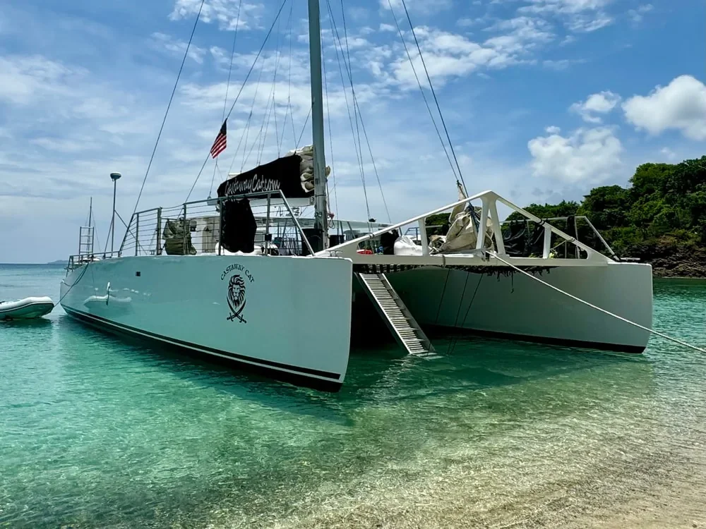 Lime Out catamaran.webp