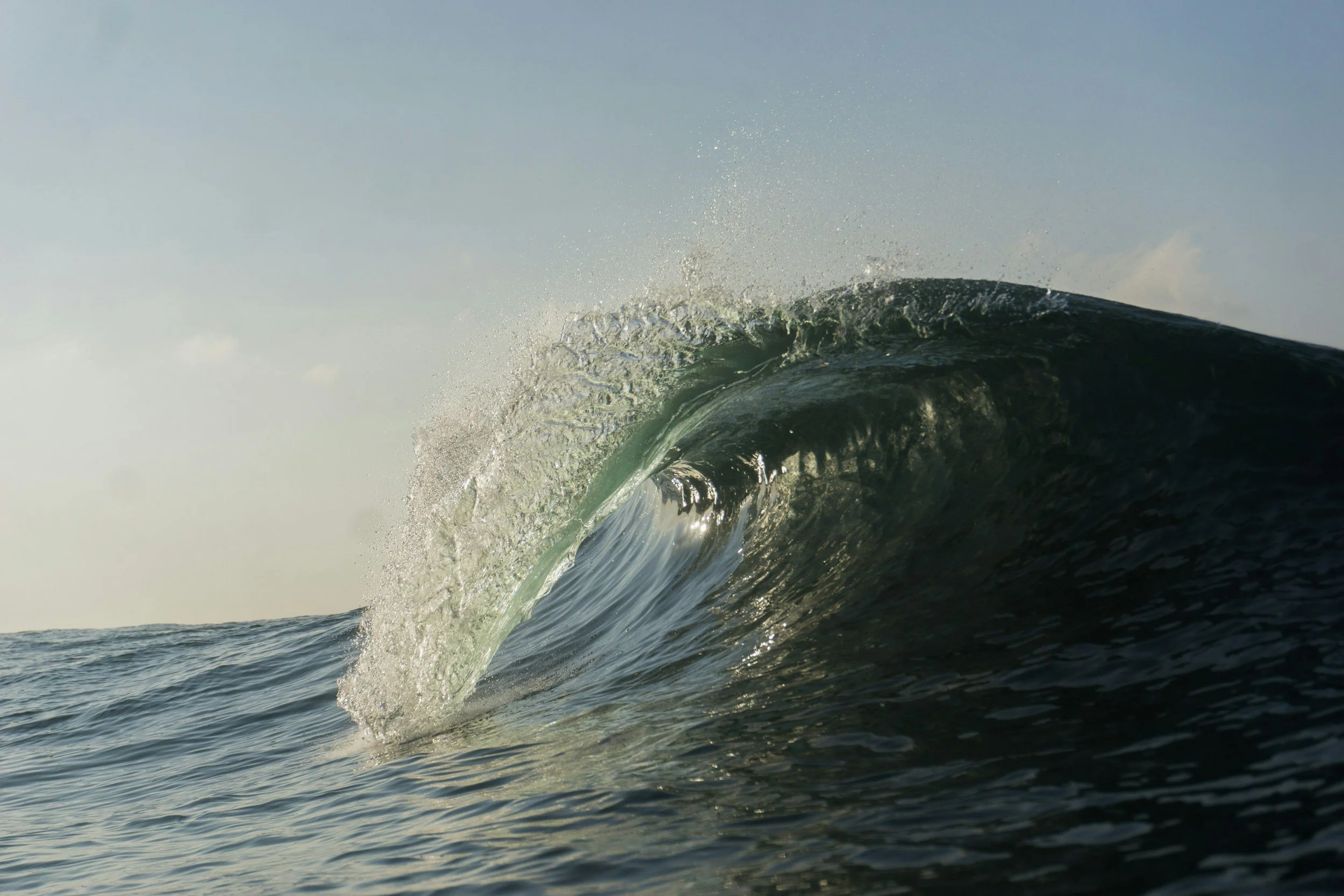 You don’t want to be alone when the sneaker waves come!