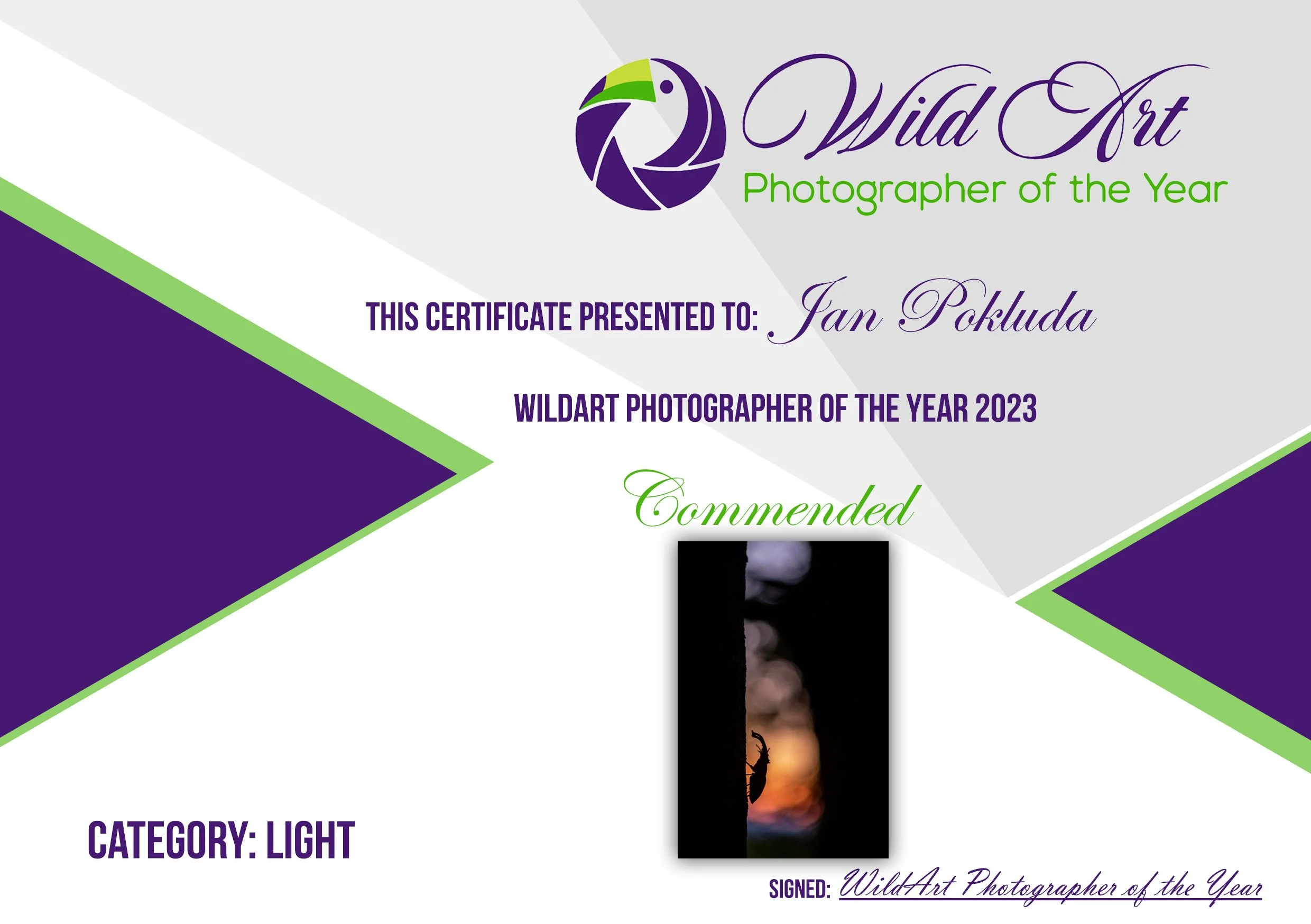 Wildart POTY 2023,