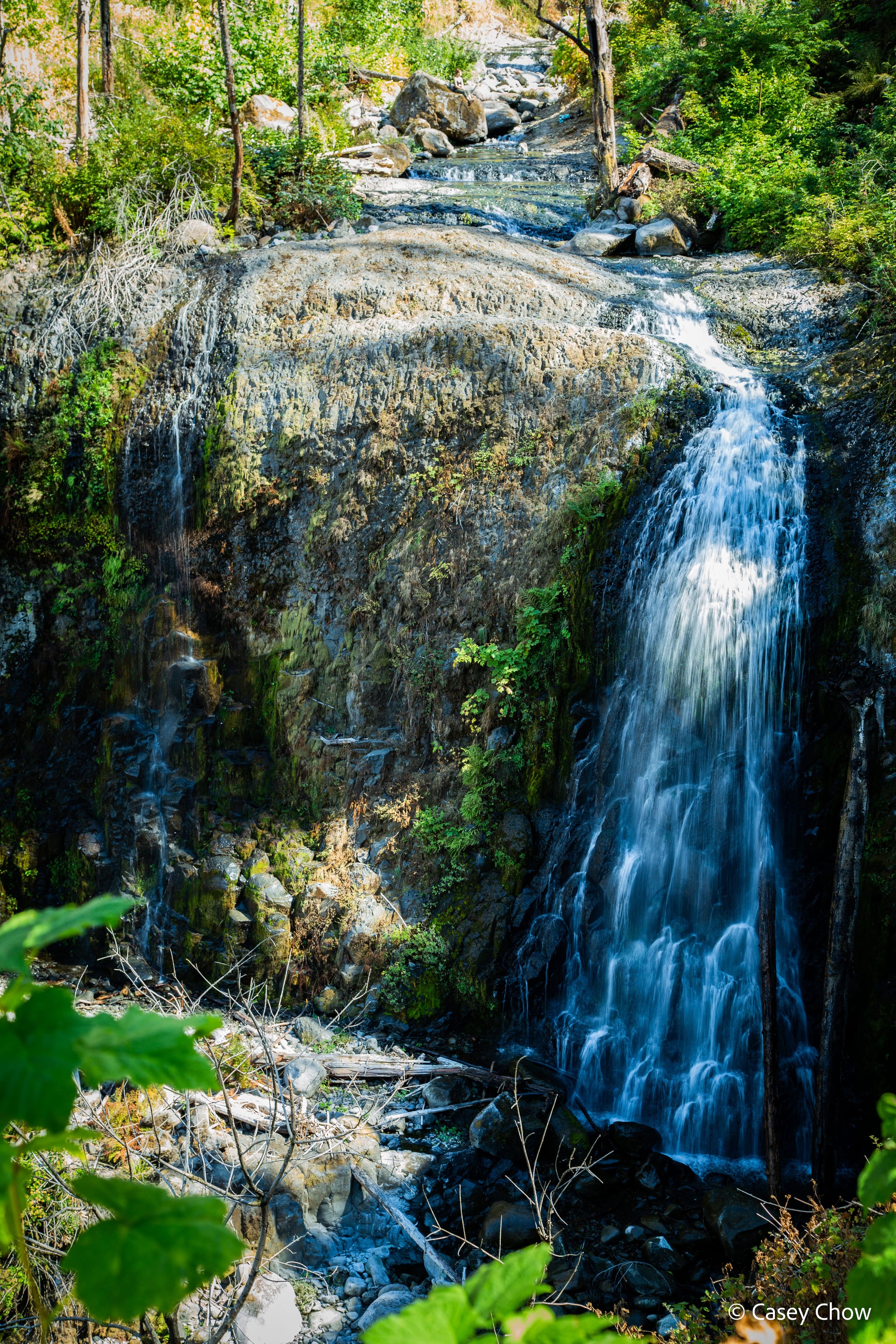 0V8A0484.jpg