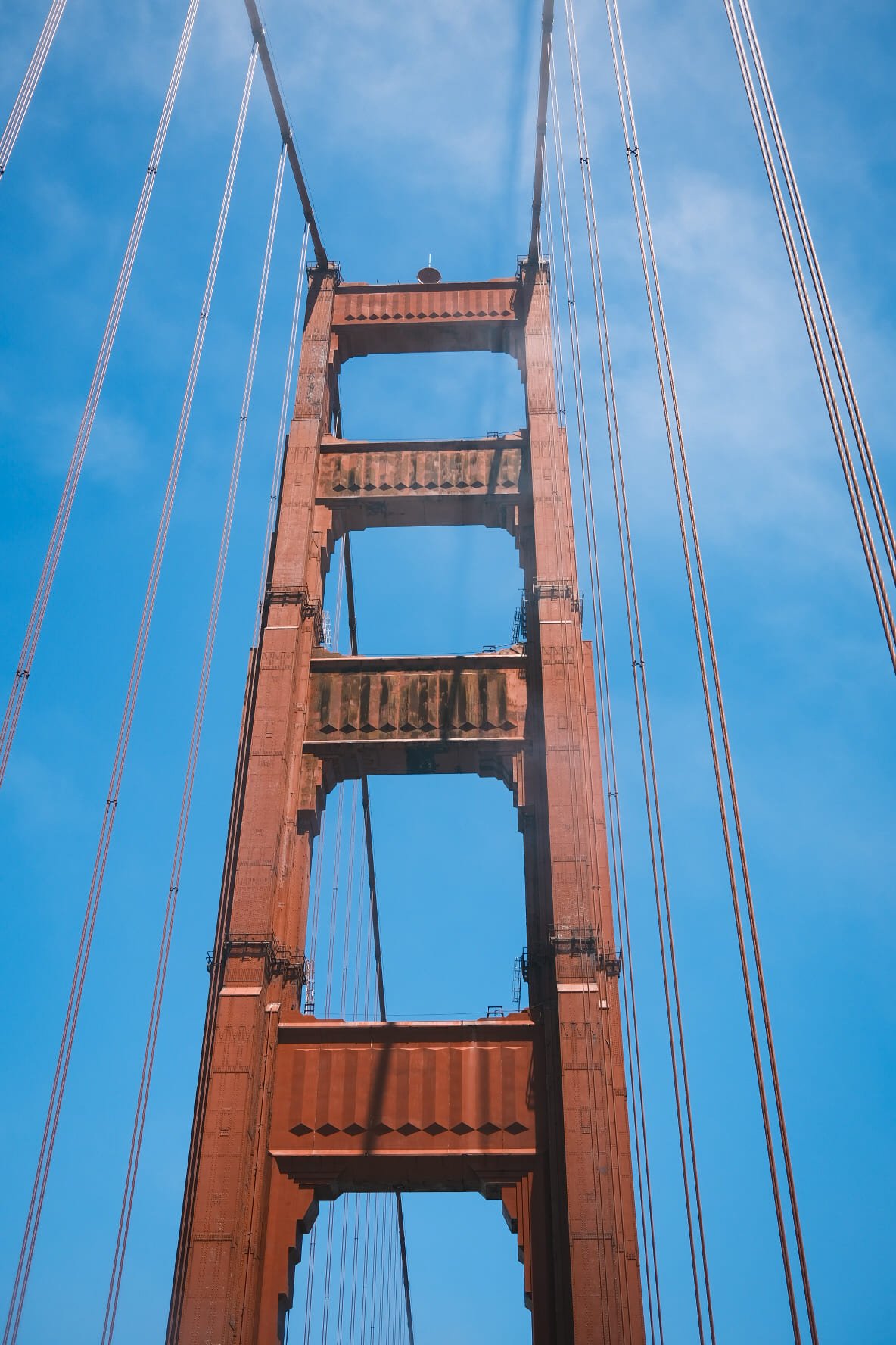 C53F767F-07BE-4EB6-9246-7E84F4DE696A-67068-00000D44B7189E5C.jpg