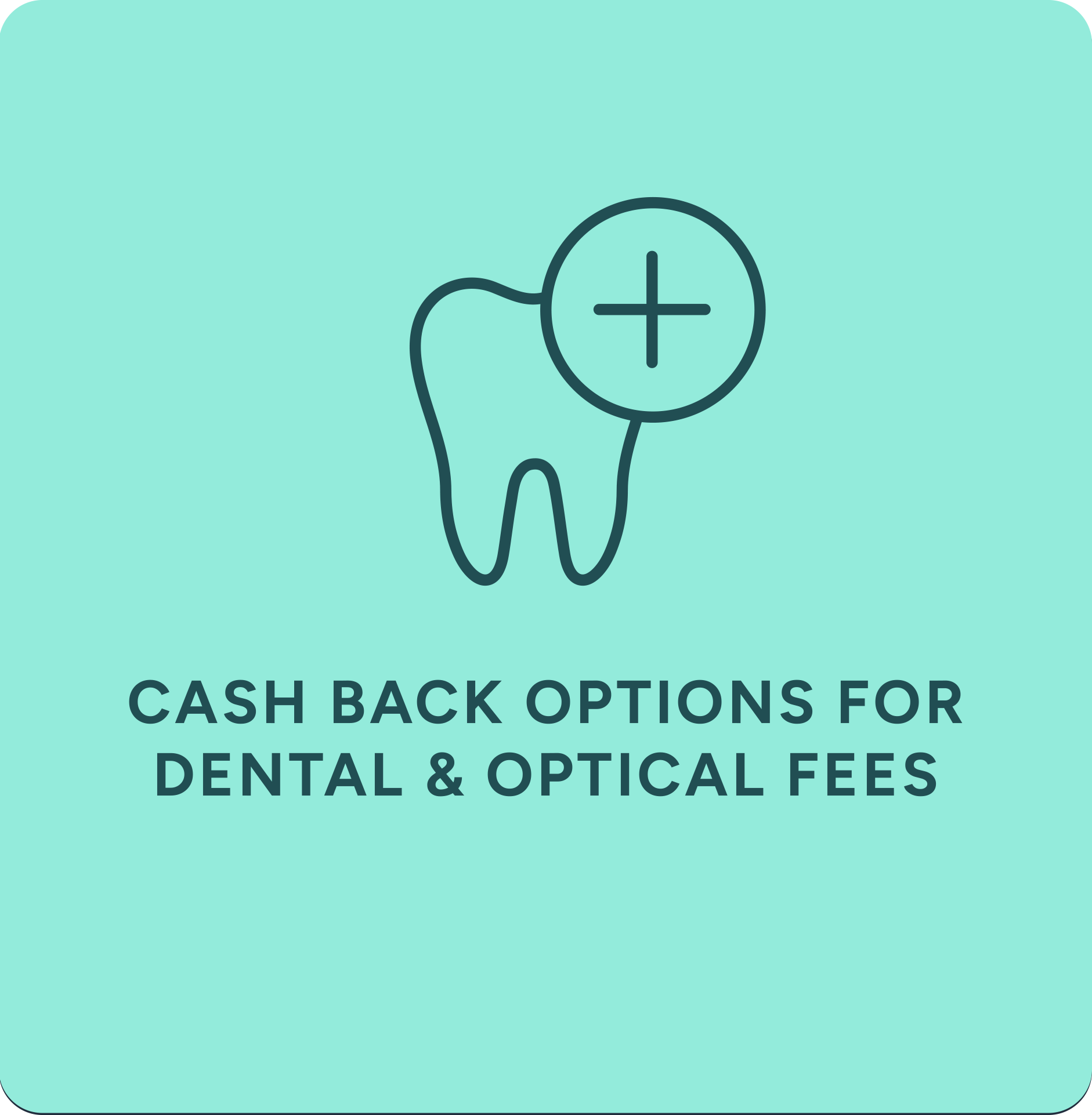 Dental & Optical Fees.png