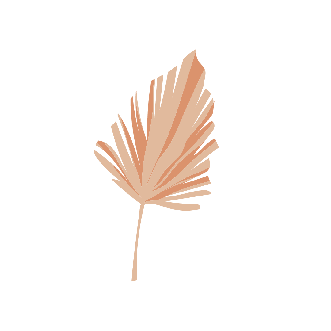 Illustration of a dried palm leaf in beige color on a black background.
