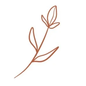 Balance and Bloom Therapy