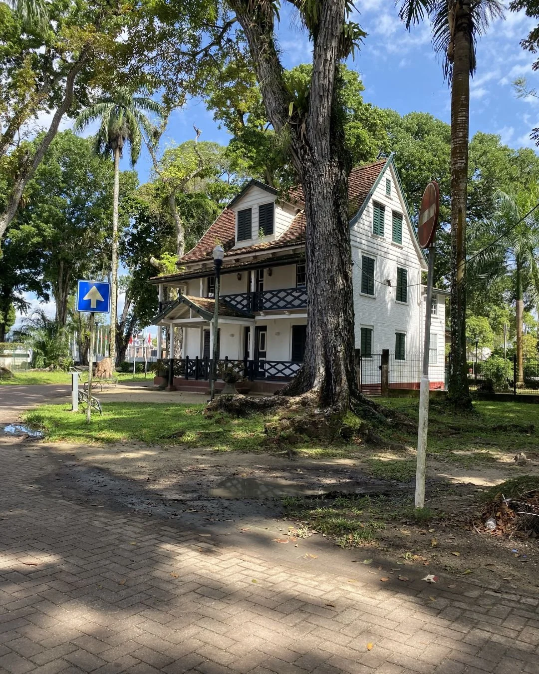 8 days in Suriname.jpg