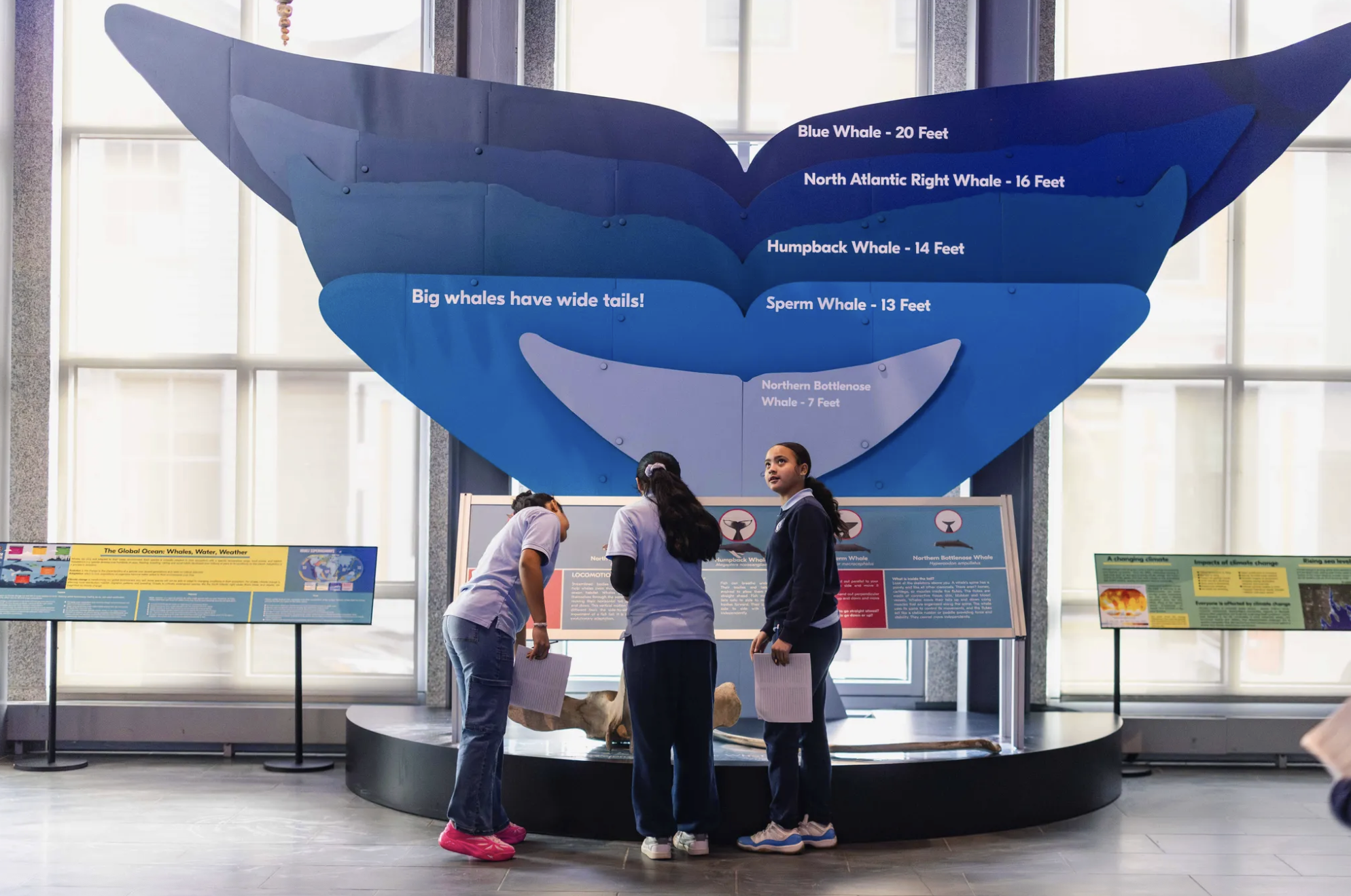 Screenshot 2026-01-10 at 6.05.31 AM.png