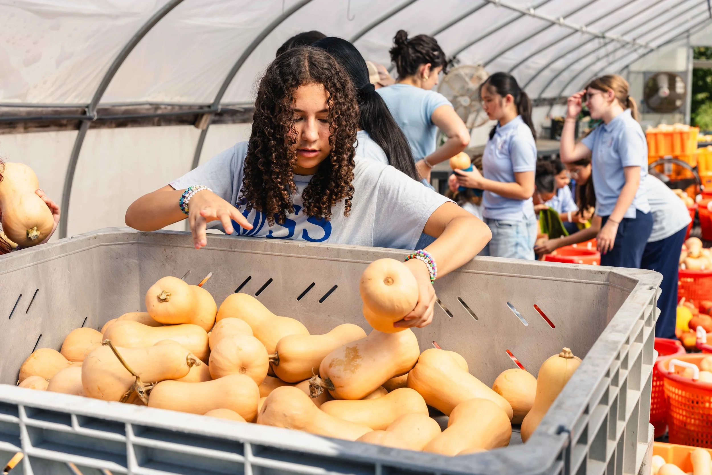 2026.9.18 OSS Share the Harvest Dartmouth YMCA-3.jpg