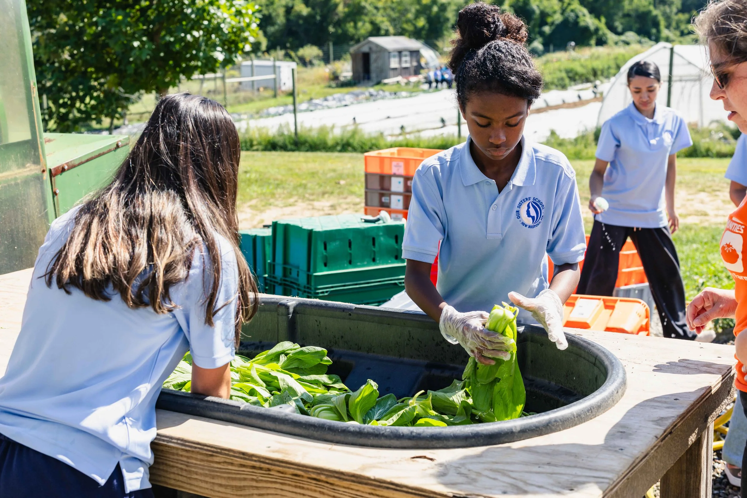 2026.9.18 OSS Share the Harvest Dartmouth YMCA-5.jpg