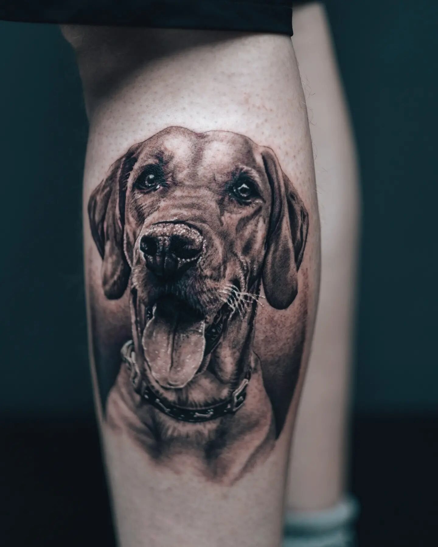 Our passion for inking your pet portraits parallels our love for (really) good coffee ❤️. Meet Roxy - our freshly inked furry friend completed in house today by @tattooartistlukerudden. This art form is so much more than just skin-deep for us 😍. Exp