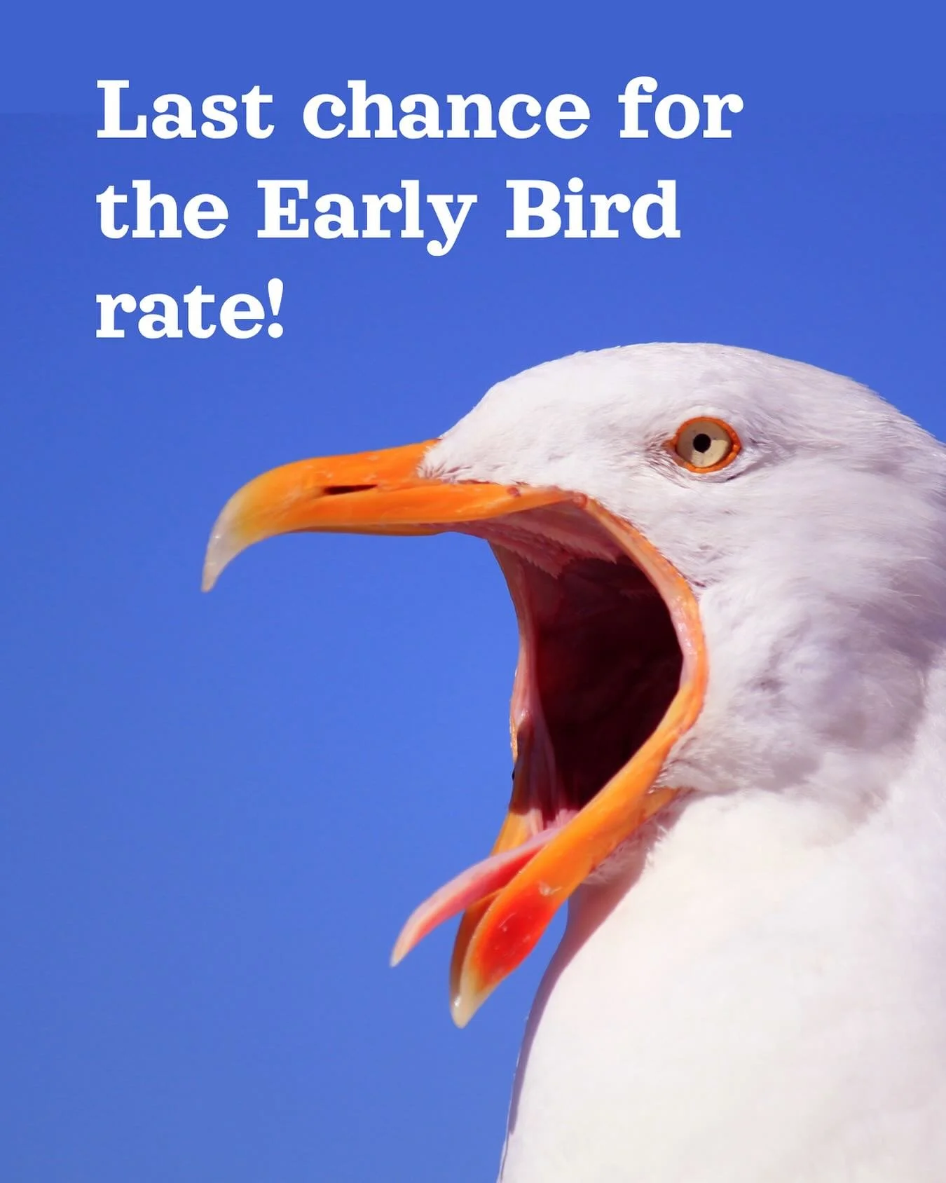 ⭐️EARLY BIRD ENDS IN 3 DAYS!⭐️
Are you keen to improve your voice?
If so, Estill Voice Training® is one of the most helpful tools you can add to your toolkit.
Whether you’re gigging regularly, auditioning, or just passionate about singin