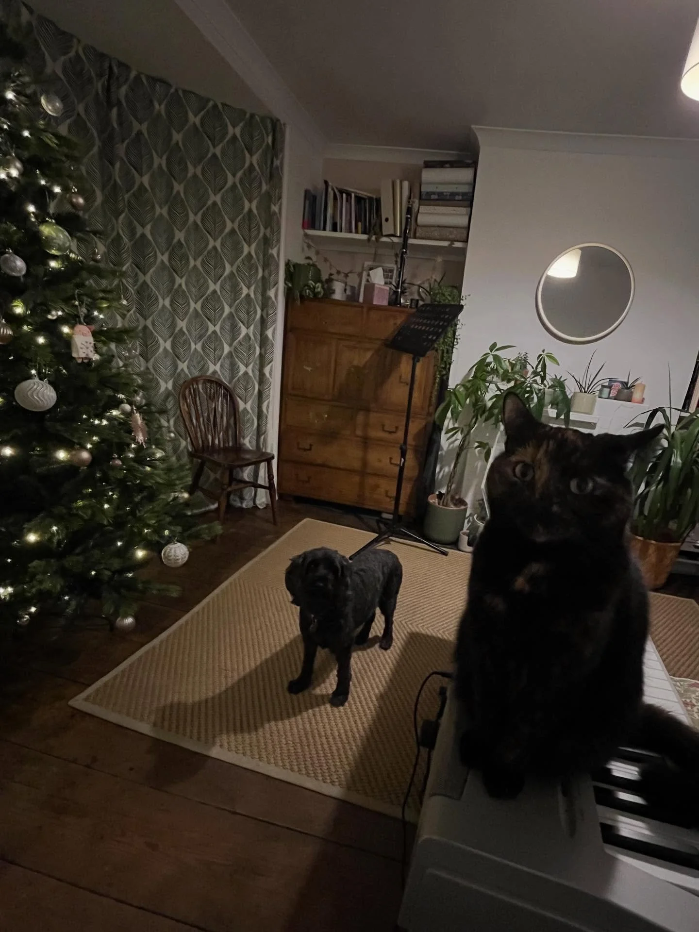 It&rsquo;s tiiiiime! 🎶🎄⭐️ Please enjoy my &lsquo;Glinda core&rsquo; tree (which is how my youngest described it 🫧💕😆)

I know some of my students aren&rsquo;t up for it but for those that are, the Christmas music is out, ready, whenever you want 