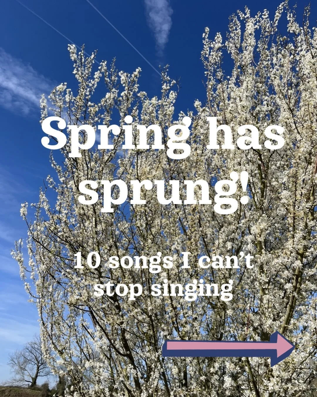 Anyone else almost weeping with relief at the sight of daffodils and snowdrops and tulips and crocuses (croci?! 😅) and the bloody beautiful blossom breaking out everywhere?!

Here&rsquo;s a little selection of songs that have popped into my head ove