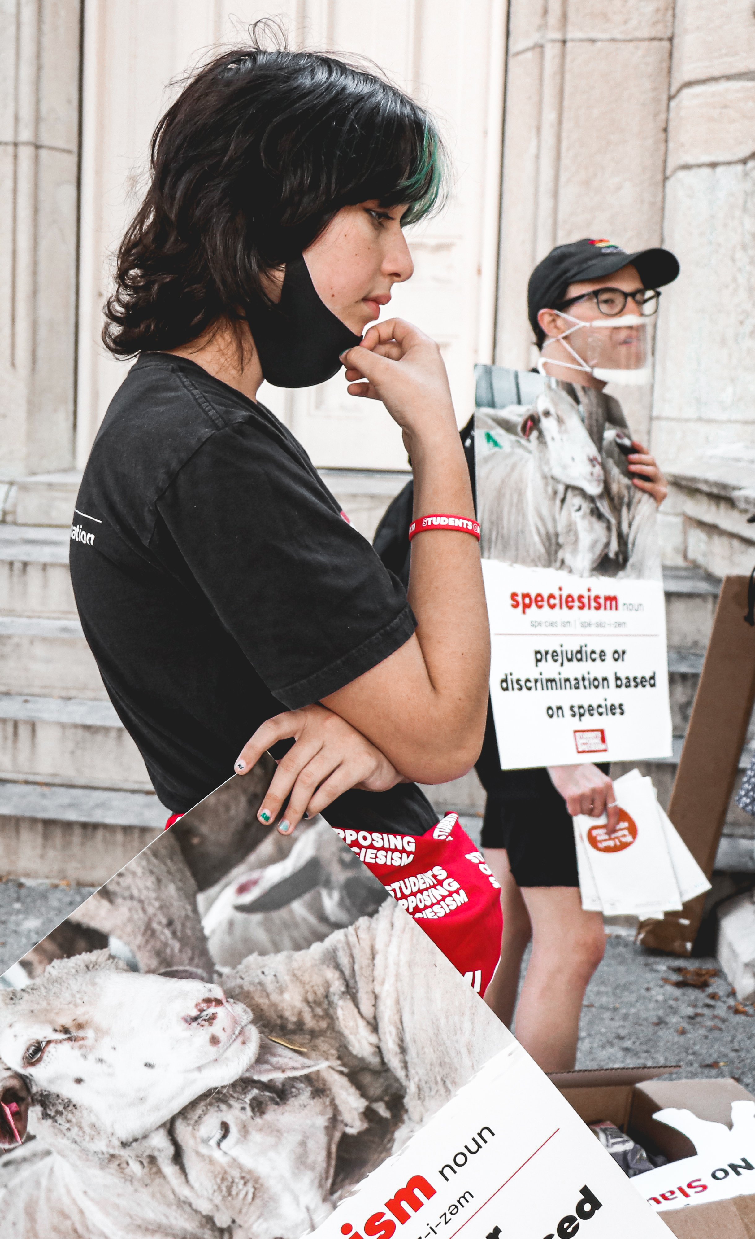 Protesters begin arriving at the Water Tower park in Chicago at 1pm on Saturday, October 9 to engage in activism against speciesism. As they wait for all the animal-right activists to gather at the meeting point, they are asked to reflect on their in