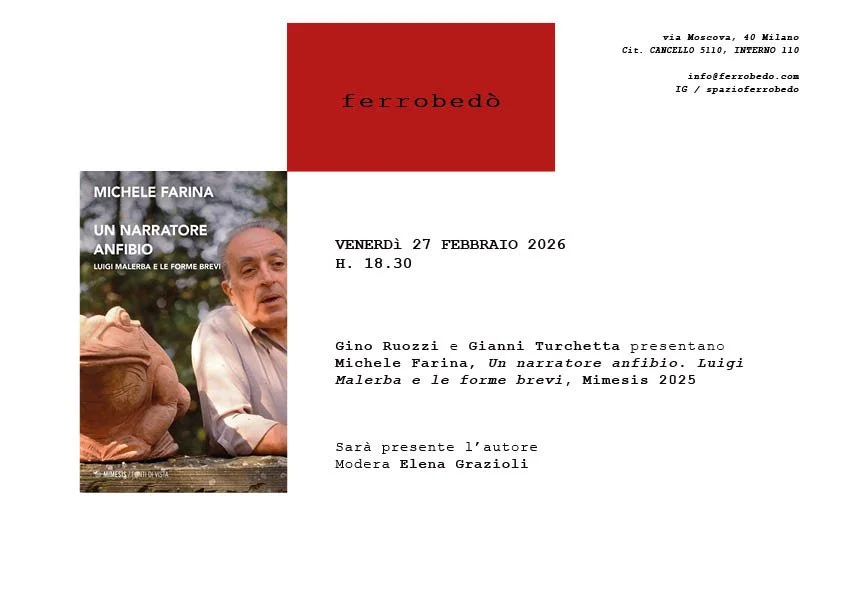 Gino Ruozzi e Gianni Turchetta presentano Michele Farina, Un narratore anfibio. Luigi Malerba e le forme brevi, Mimesis 2025