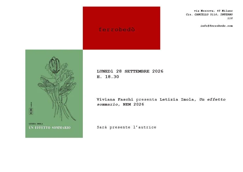 Viviana Faschi presenta Letizia Imola, Un effetto sommario, NEM 2026