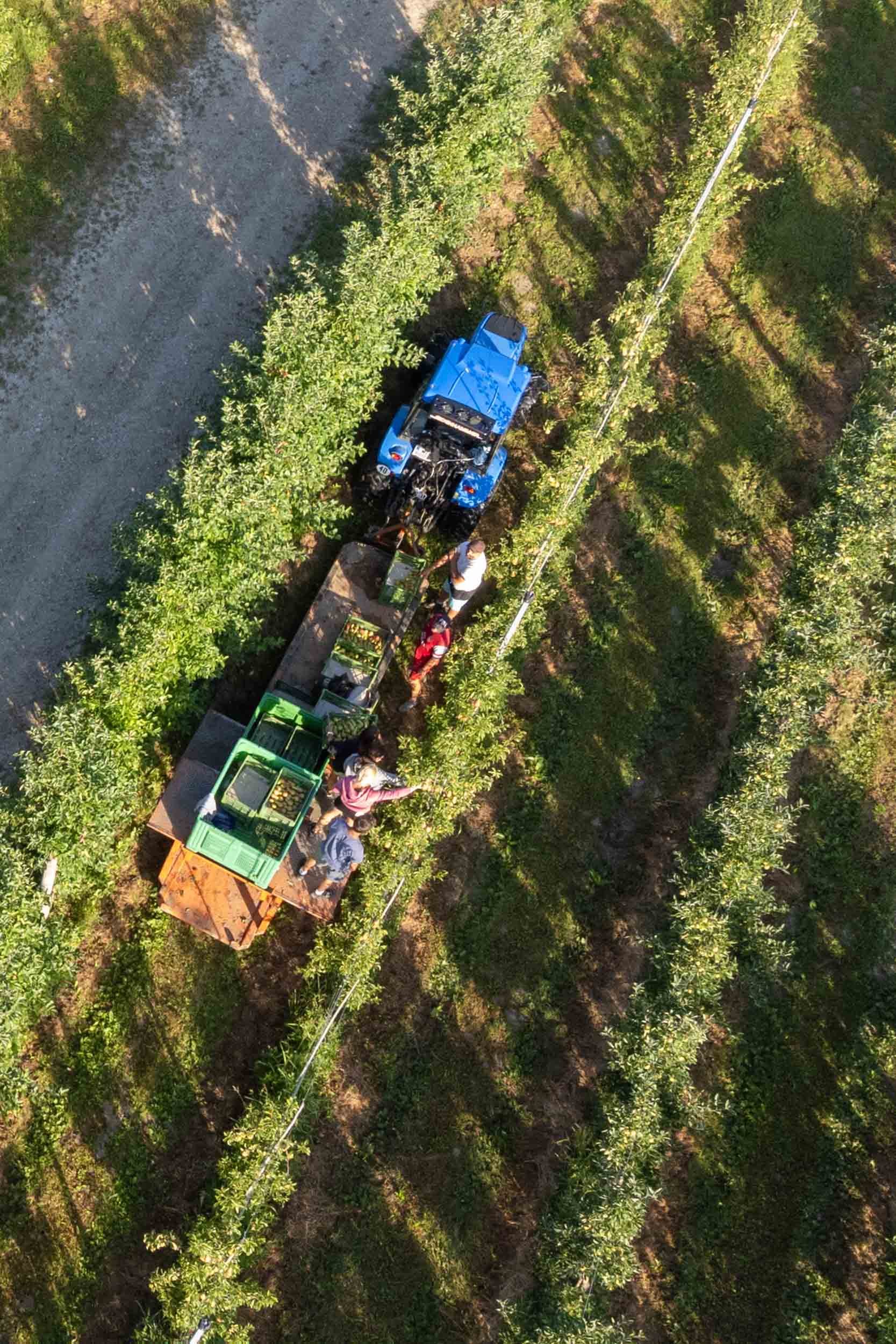 (c)marianne mittermayr_isidor (144).jpg