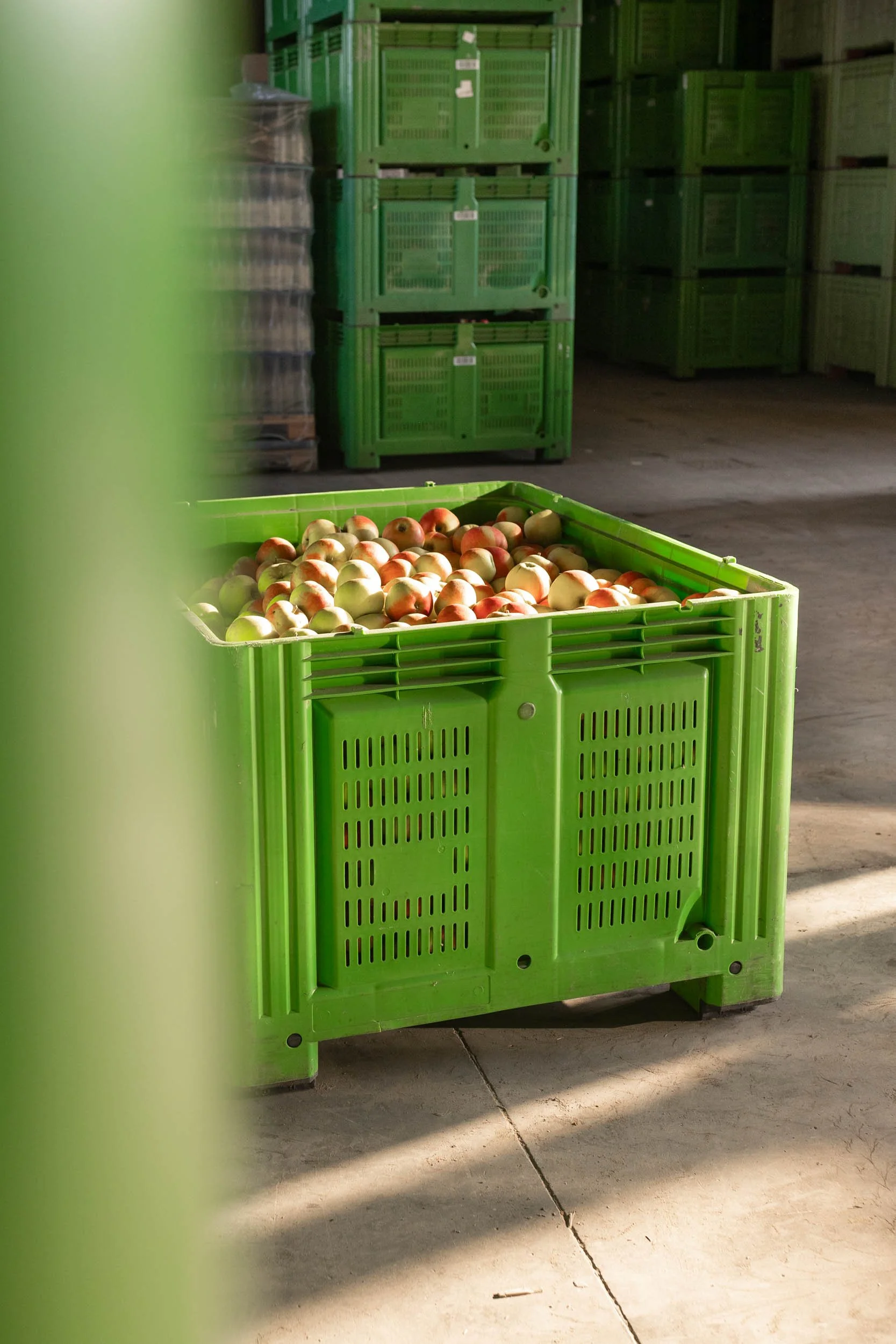 (c)marianne mittermayr_isidor (216).jpg