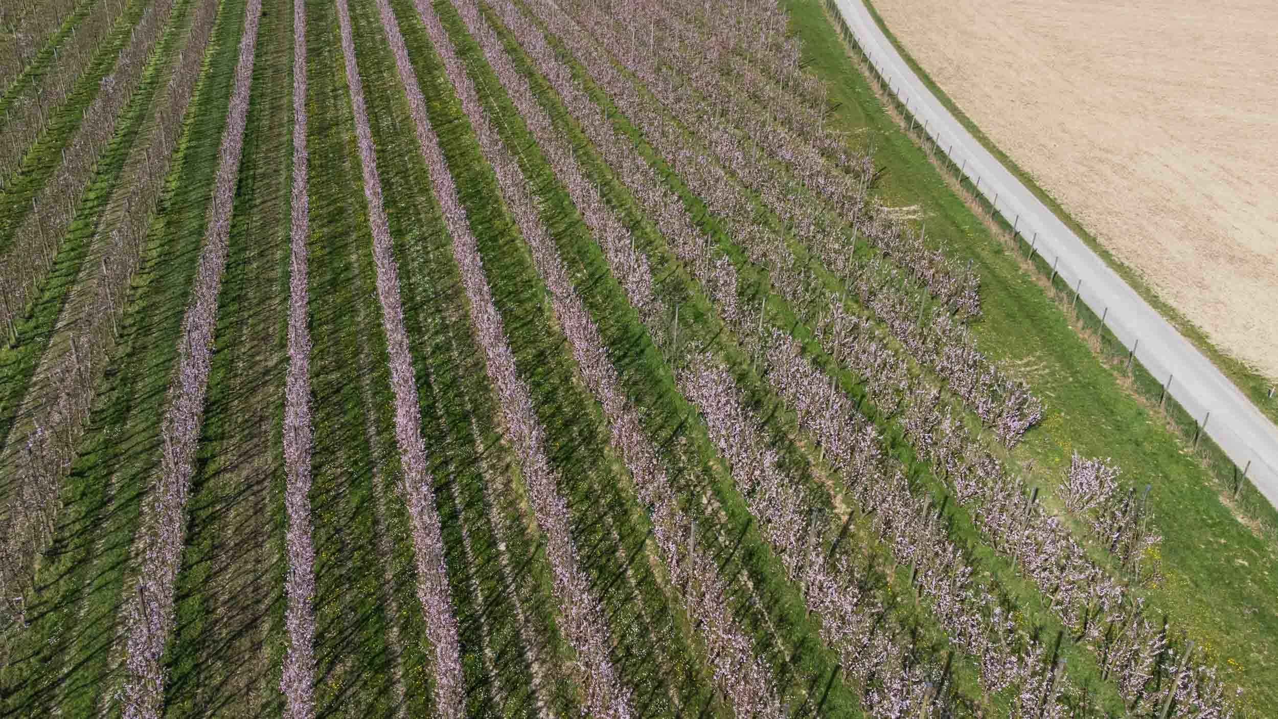 (c)marianne mittermayr_isidor (244).jpg